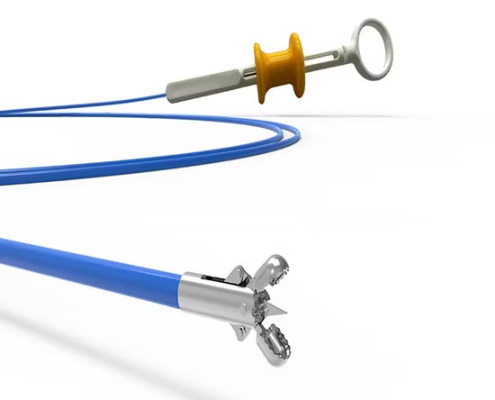 Disposable Biopsy Forceps with Needle